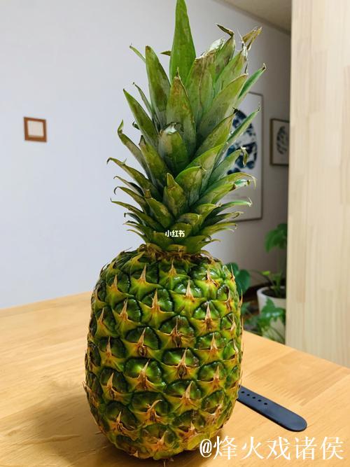 绿菠萝视频